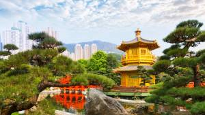 china 6